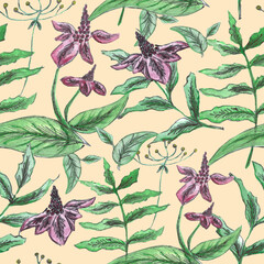 Watercolor seamless pattern with meadow flowers on a yellow background, wild plants ornament, pattern for fabric, concealery and wallpaper, fern, plants, freehand pattern, umbrella plant, hogweed