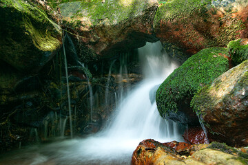 Saltos de agua en el bosque