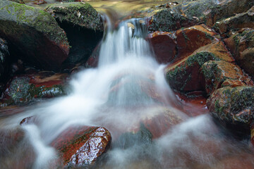 Saltos de agua en el bosque
