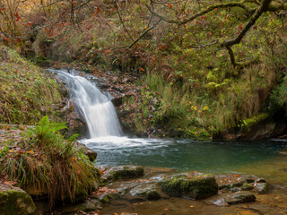 Waterfall in an Asturian forest