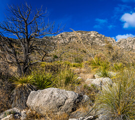 Large Boulders and Rugged Mountains Along The Smith Spring Trail Near The Historic Frijole Ranch, Guadalupe National Park, Texas, USA