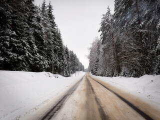deep snow winter forest road sprinkled with salt and sand - 560736729