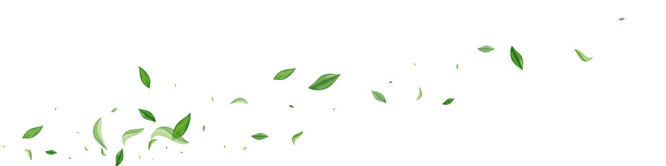 Lime Greens Spring Vector White Panoramic