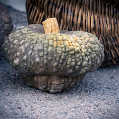 panier et courge 