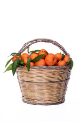 clementini su cesto di vimini su sfondo bianco