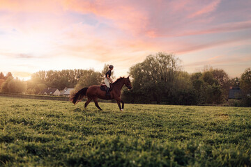 female horsewoman jockey rides her thoroughbred on wide meadow in sunset light