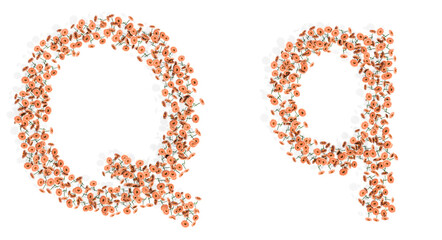 Concept or conceptual set of beautifull blooming gerberas bouquets forming the font Q. 3d illustration metaphor for education, design and decoration, romance and love, nature, spring or summer.