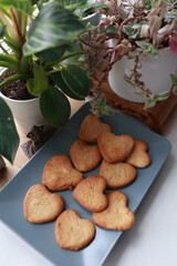 cookies hearts and indoor flowers on the background of the window