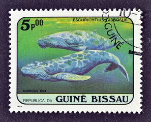Cancelled postage stamp printed by Guinea Bissau, that shows Gray Whale (Eschrichtius gibbosus),...