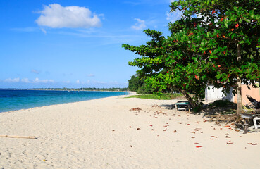 Sevn Mile Beach, Negril in Jamaica, Caribbean, Middle America