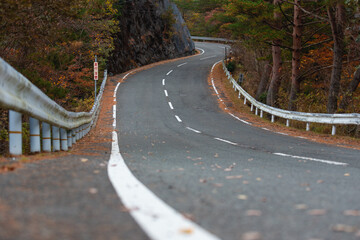 日本の秋の道路