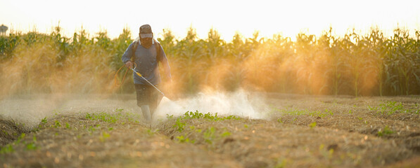 Farmers are using chemical sprayers on their farm fields. to prevent insects To nourish plants. Use...