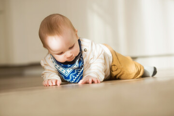 Fototapeta premium A baby at the age of 8 months learns to crawl at home. Cute little boy crawling on the floor.