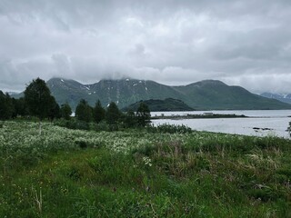 Norwegian fjords view, summertime, no people, cloudy and peaceful