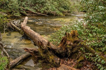 sliding rock falls cashiers nc