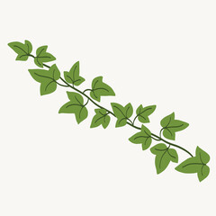Floral ivy drawing decorative ornament flat design.