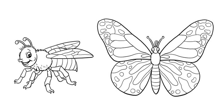 Cute bee and butterfly to color in. Template for a coloring book with funny animals. Coloring template for kids.