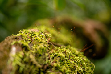 silver run falls and sliding rock falls
