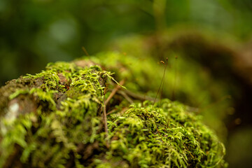 silver run falls and sliding rock falls