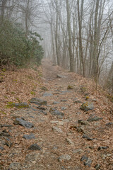 whiteside mountain
