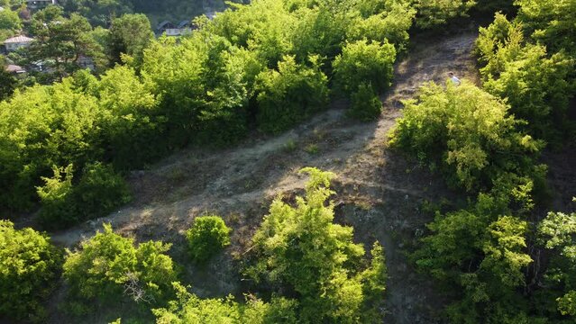 Aerial View Of A Sporty Man Running Down The Green Hill Path