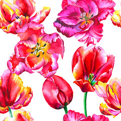 
Watercolor tulips in a seamless pattern. Can be used as fabric, wallpaper, wrap.
