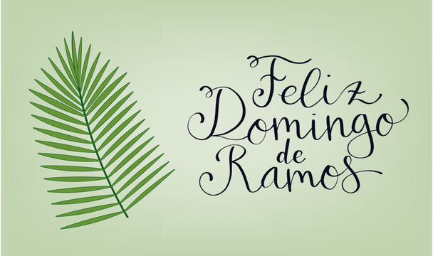 Feliz Domingo de Ramos translation from portuguese Happy Palm Sunday. Handwritten calligraphy lettering with palm leaf illustration.