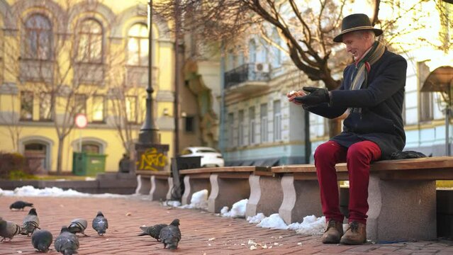 Wide shot smiling senior elegant man sitting on bench feeding pigeons with bread smiling. Relaxed positive Caucasian male retiree on the right enjoying leisure on city street. Lifestyle and retirement
