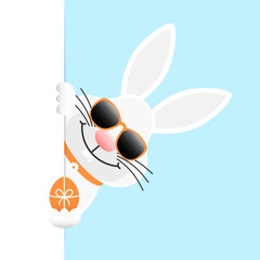 Einzelner Weißer Osterhase Sonnenbrille Mit Osterei Vertikales Banner Rechts Himmel