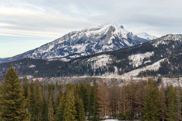 Tatra Mountains - view from Rusinowa Polana. Winter view of High Tatra Mountains seen from Rusinowa Polana. mountain winter landscape tatry in Poland