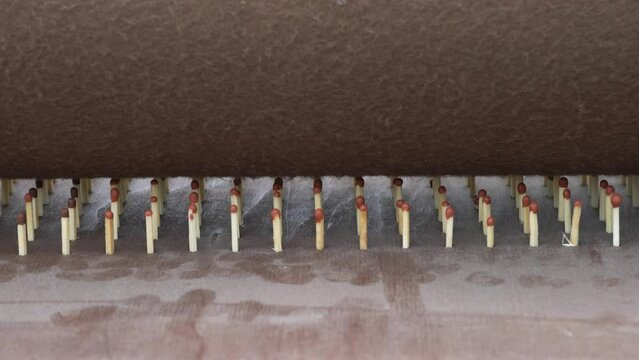 Wooden safety matches on the production table.