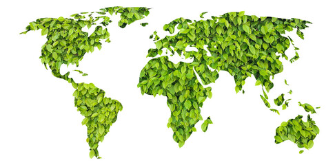 tree leaves world map - concept of bioenergy