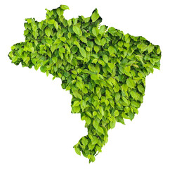 tree leaves map of Brazil - concept of bioenergy