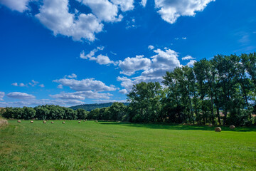 Rolls haystacks straw on field, harvesting wheat. Rural field with bales of hay. Landscape