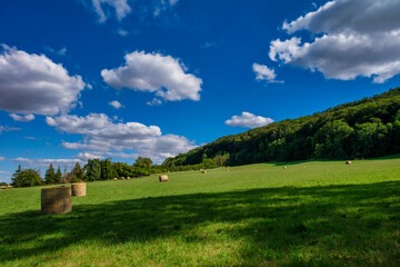 Rolls haystacks straw on field, harvesting wheat. Rural field with bales of hay. Landscape