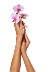 Flowers, orchid and woman hands with manicure nails after spa or beauty salon treatment on white background. Female model with pink flower for floral background, wellness and natural cosmetics
