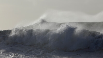 Stormy breaking waves