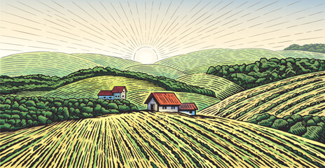 Rural landscape with the village and  agricultural fields,  with hills drawing in graphic style. Vector Illustration.