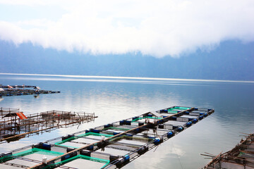 Fish cage breeding in Lake Maninjau, West Sumatra, Indonesia