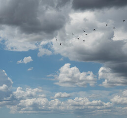 Cumulus clouds against a bright, blue summer sky with high flying birds.