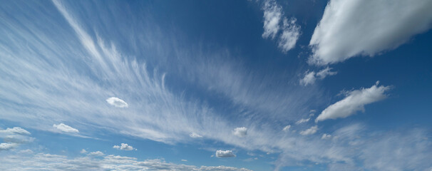 Wispy, cirrus clouds against a bright, blue summer sky.