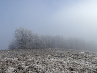 Winter frosty morning. Mystical atmosphere landscape. Soft tones and fog. Hoary frost on trees
