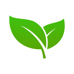 green leaf nature vector