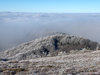 Winter mountain landscape. Above the clouds. Carpathians, Polonynian Beskids, Ukraine.