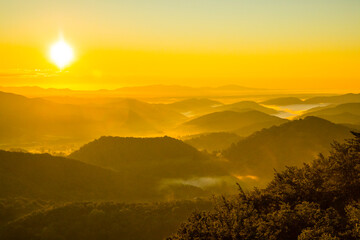 Naklejka premium Spring sunrise in La Fageda D En Jorda Forest, La Garrotxa, Spai