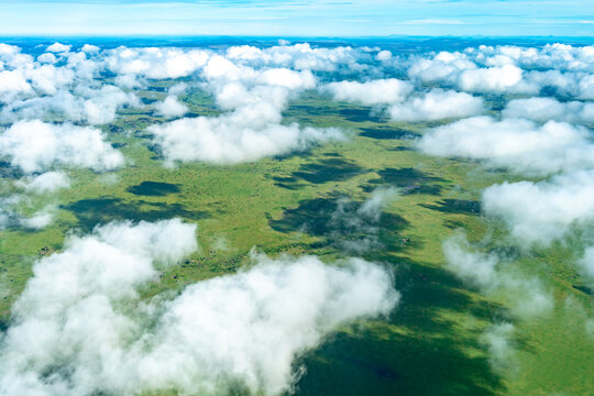 Plains of Serengeti National Park, Ngorongoro District, Tanzania