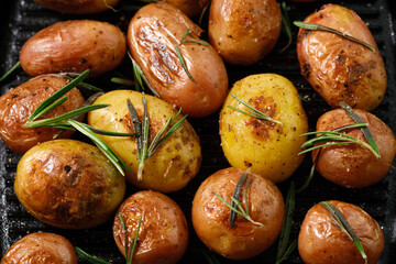 grilled mini potatoes with spices and rosemary - obrazy, fototapety, plakaty