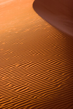 The burnt orange dunes of the Namib Rand Nature Reserve.