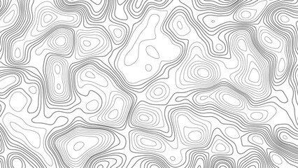 Topographic map. Geographic mountain relief. Abstract white topography vector background. Line topography map design. The concept of conditional geographical pattern and topography.	