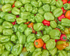 Fototapeta na wymiar Bright green and orange organic bell peppers for sale top view close up. A natural, colorful background.